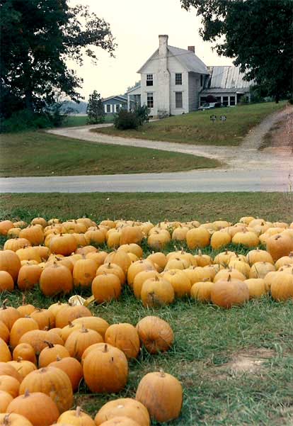 Blue Ridge Street in the 1980's